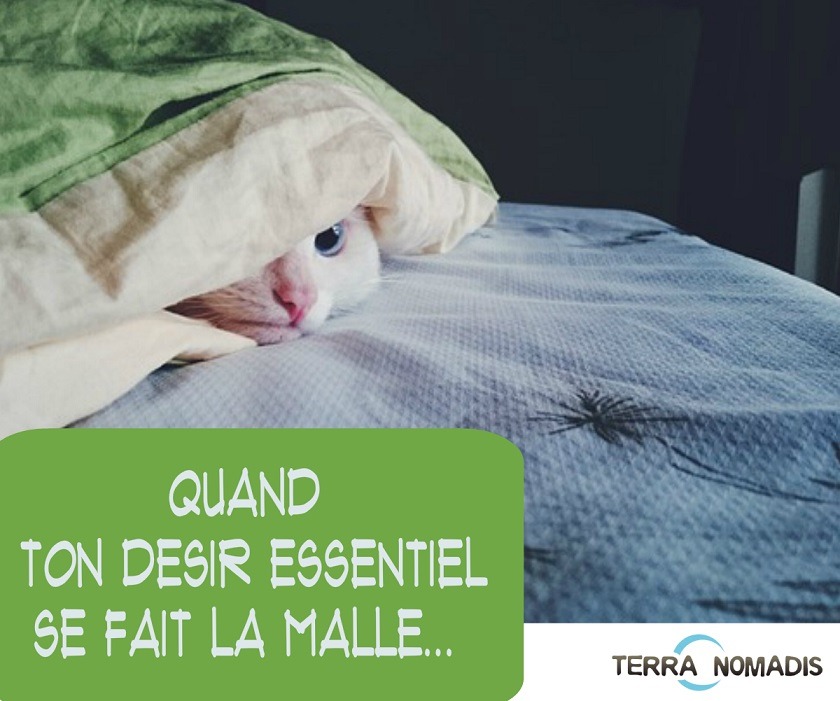 desir essentiel